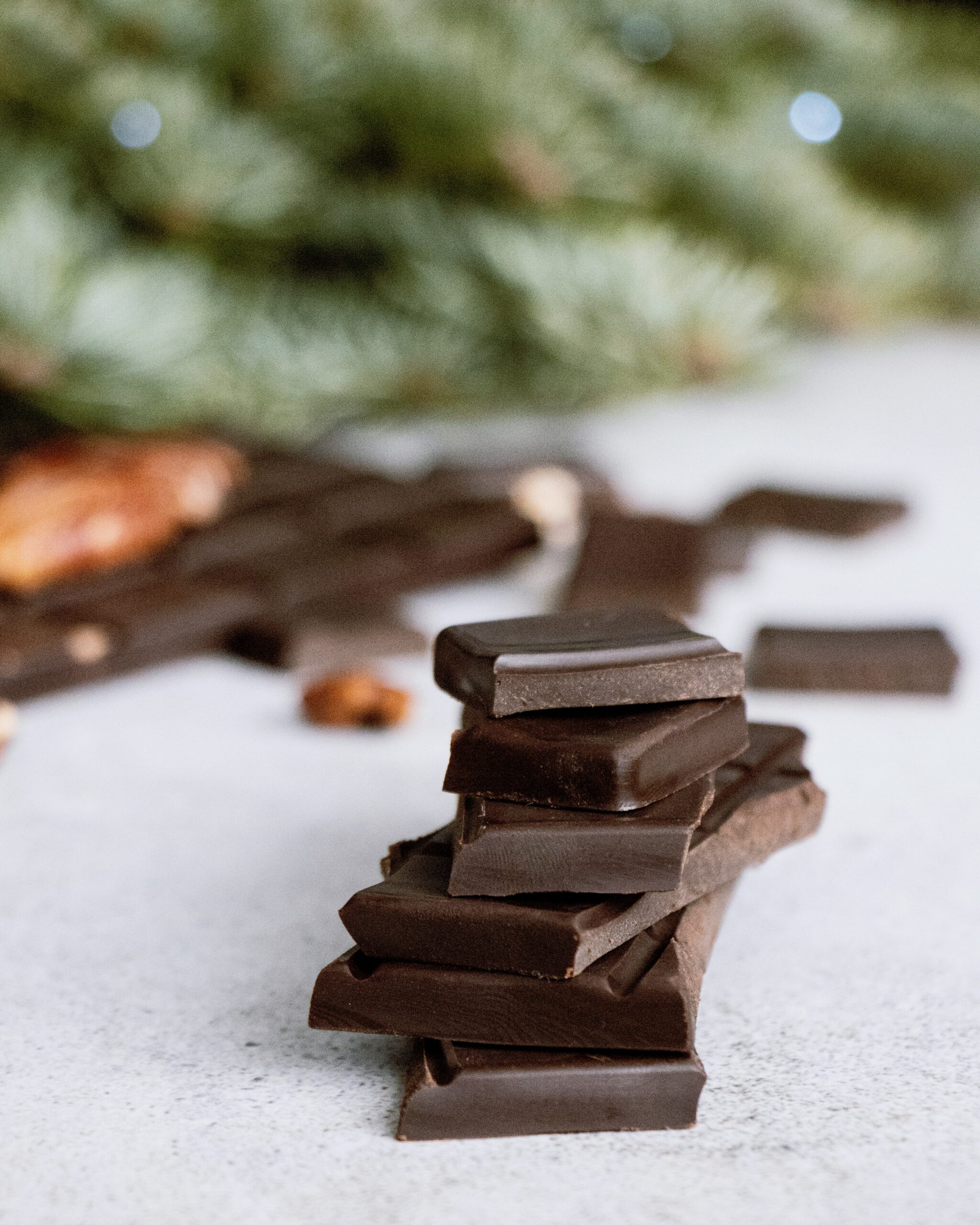 Kan katter äta choklad?