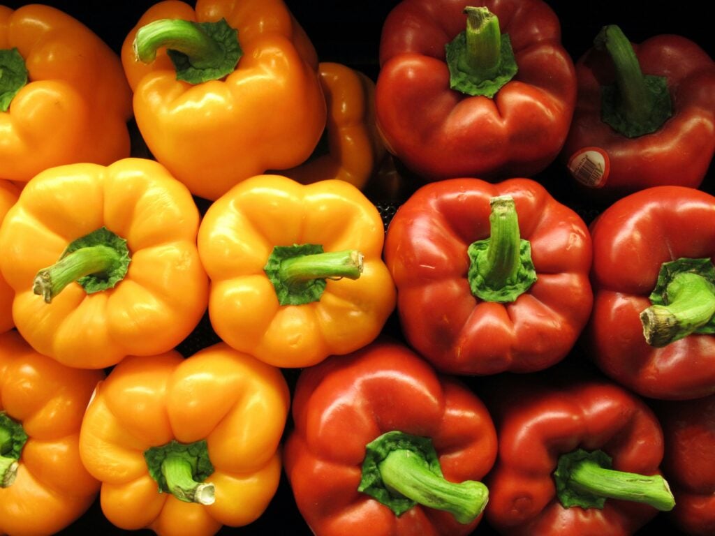 Kan hundar äta paprika?