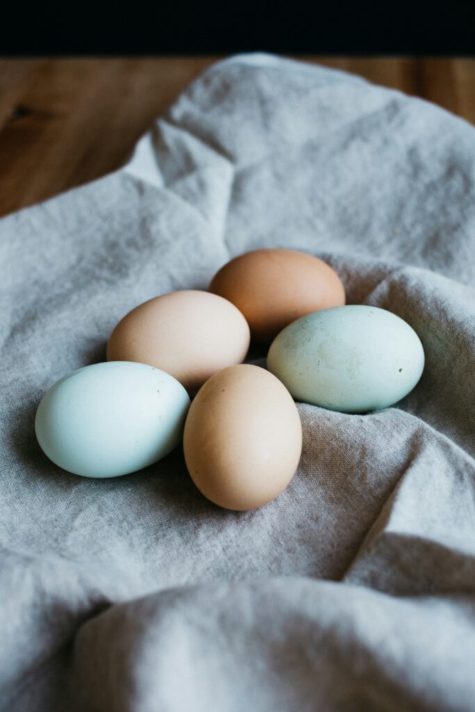 Kan hundar äta ägg?
